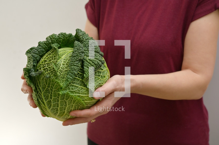 Woman holding green fresh organic savoy cabbage 