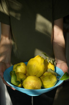 Holding a bowl of freshly picked pears