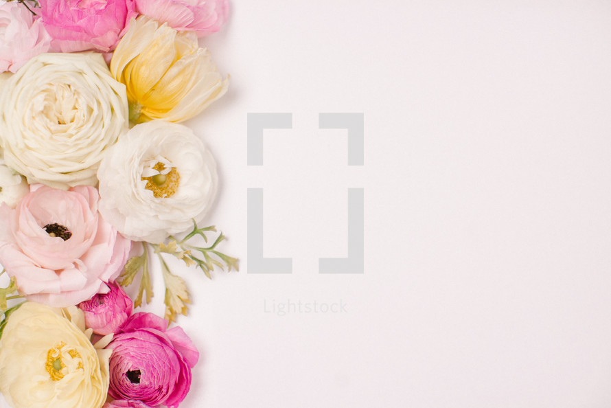 border of flowers on a white background 