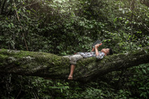 a boy in a tree reading a Bible 