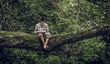 a boy sitting in a tree reading a Bible 
