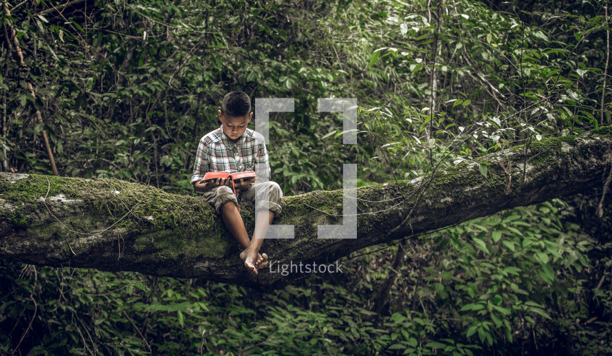 a boy sitting in a tree reading a Bible 
