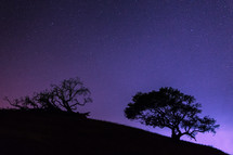 silhouettes of trees on a hillside under a purple sky
