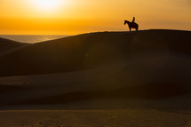 silhouette of a man on a horse on top of sand dunes 