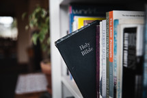 Bible on a bookshelf 