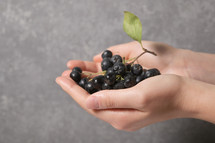 grapes in cupped hands 