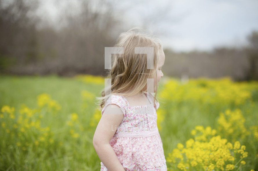 A little girl in a field of yellow flowers.