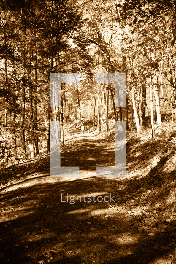 people walking on a path through a fall forest 