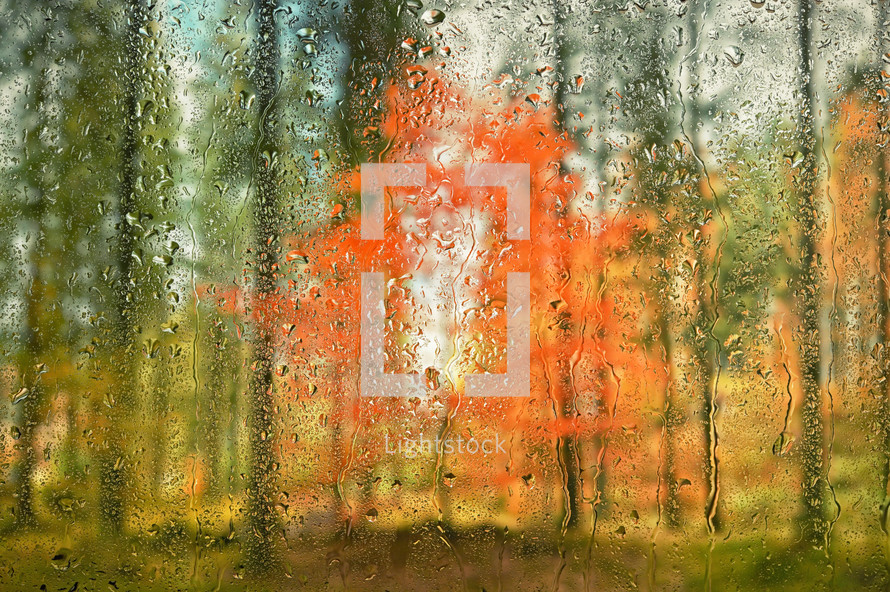 Orange tree through rainy window