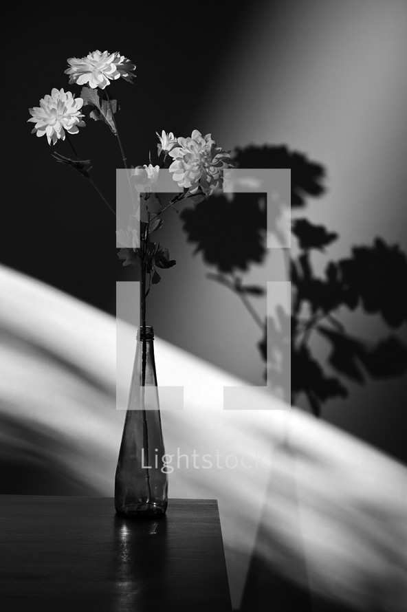 vase of flowers in black and white 