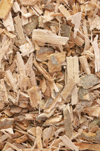 Willow Bark is Found in Nature and Used Medicinally for Various Ailments