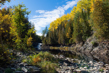fall forest and river 