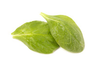 Spinach Leaves on a White Background