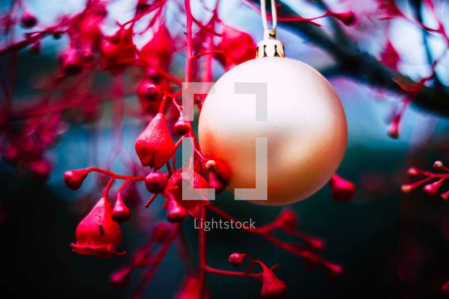 gold ornament on red branches 