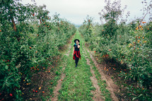 Pretty unusual woman with blue dyed hair walking alone between trees in apple garden at autumn season. Girl goes ahead away from camera. Organic, nature concept