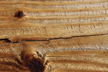 Wood grain of a tree.