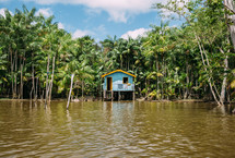 a flooded hut along the edge of the Amazon river 