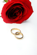 red rose and wedding bands 