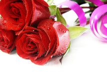 red roses and pink ribbon 