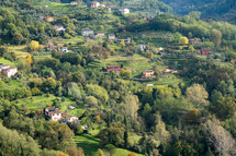 houses along a Tuscan hillside 