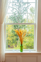 wheat in a vase in a window sill 