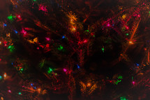 Colored lights on a Christmas tree 