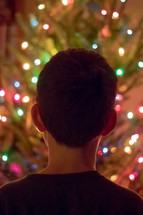 child looking at a Christmas tree 