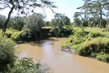 water hole in Africa 