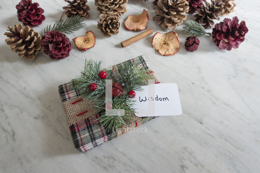 wrapped gift and tag labeled - wisdom 