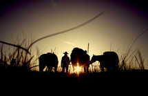 a cowboy standing with horses at sunset 