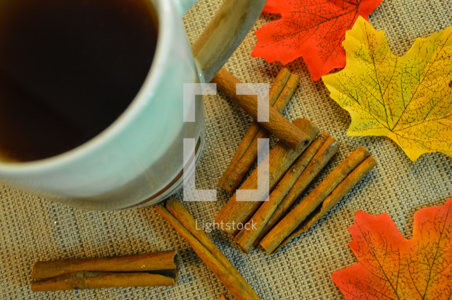 Apple Cider and Cinnamon Sticks with Autumn LEaves 