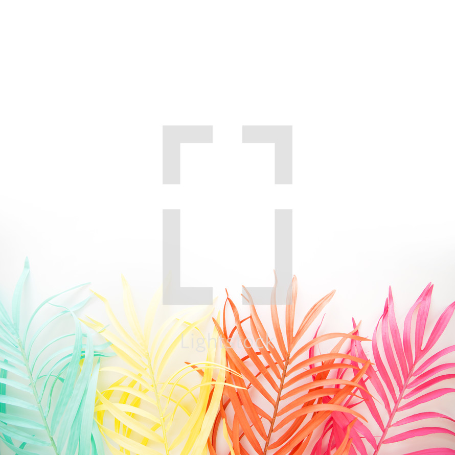 colorful feathers on a white background 