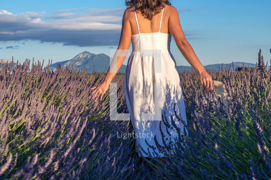 Summertime in lavender. Young beautiful woman in lavender flowers field at sunset in white dress. Provence. France.