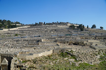 Mount of Olives in Jerusalem