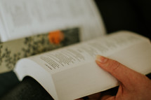 person reading a Bible 