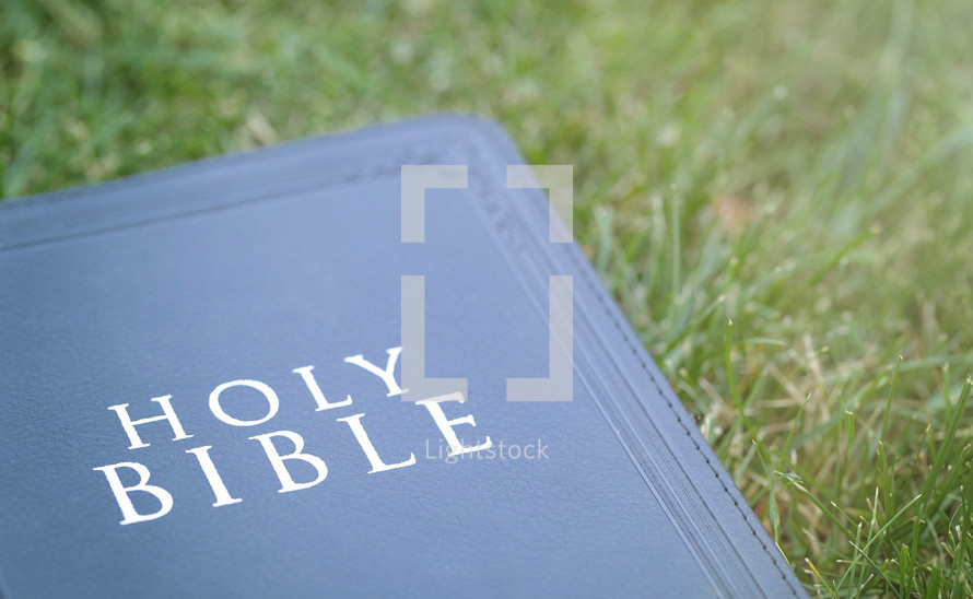 Bible in grass