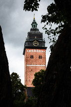 A church steeple seen between the trees.