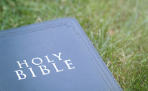 Bible in grass