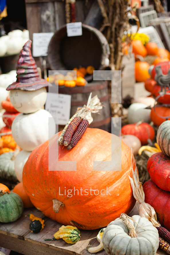 fall pumpkins and merchandise 