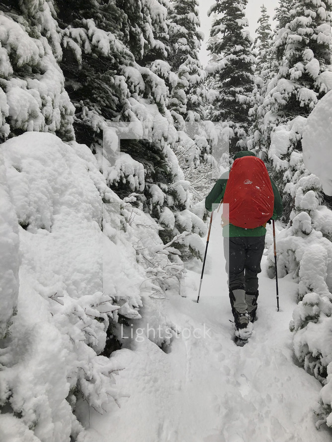 a man hiking through a winter forest in snow 