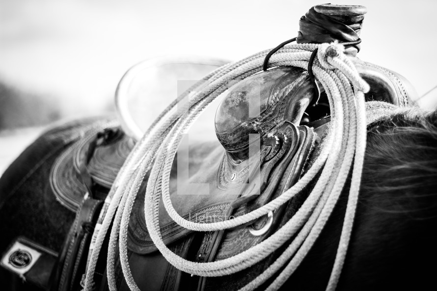rope on a saddle 