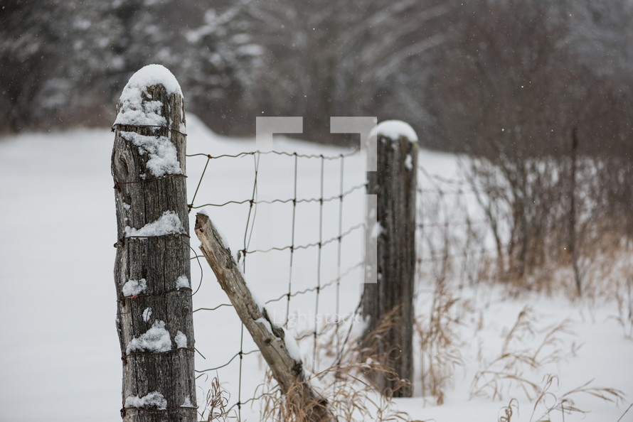 fence in snow 