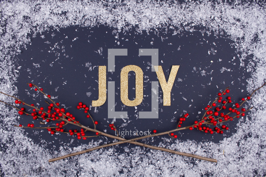 word joy and red berries with snow background 