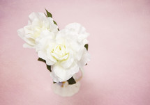 magnolia flowers in a vase