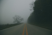 fog on a rural road 