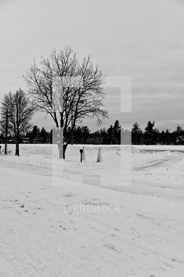 snowy scene in Rovaniemi 