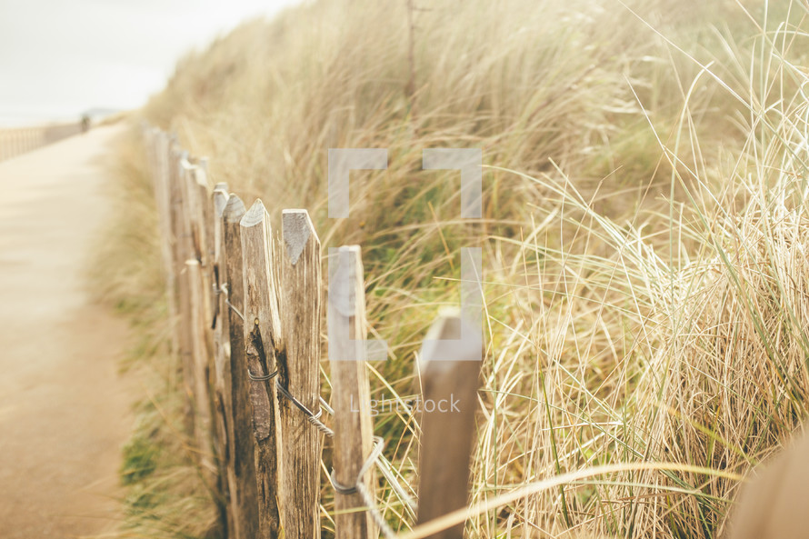 picket fence along a sand dune 