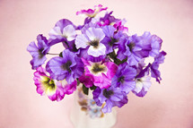 purple flowers in a vase 