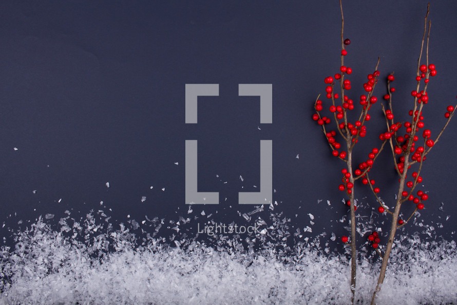 red berries and snow border 