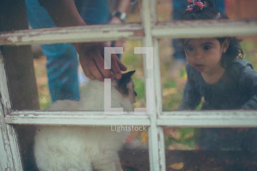 a toddler girl approaching a cat in a window 